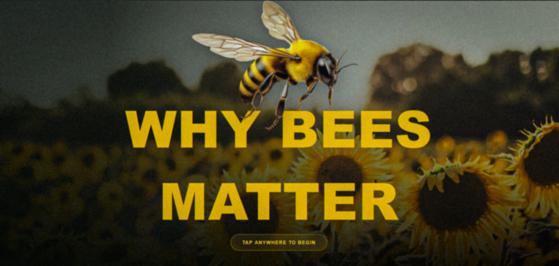 Ontario Kiosk Branding